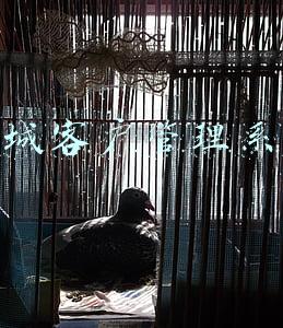 长城客户管理系统入口(景顺长城基金管理有限公司 关于旗下部分基金新增东方财富证券为 销售机构并开通基金“定期定额投资 业务”、基金转换业务及参加申购、定期 定额投资申购费率优惠的公告)