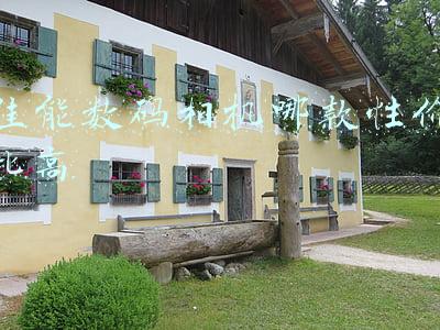 佳能相机哪款性价比好一点(2020年总结了佳能性价比高的8款相机)