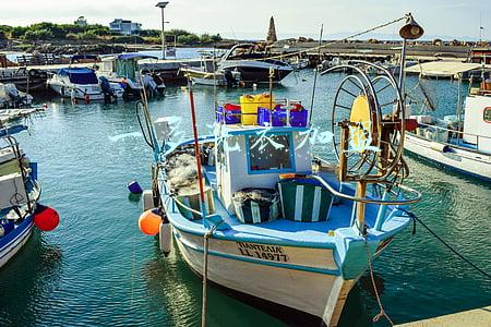 一多(吃肉有益还是有害？国外研究给出答案，健康吃肉牢记一多三少)