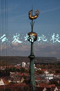 什么发蜡比较好