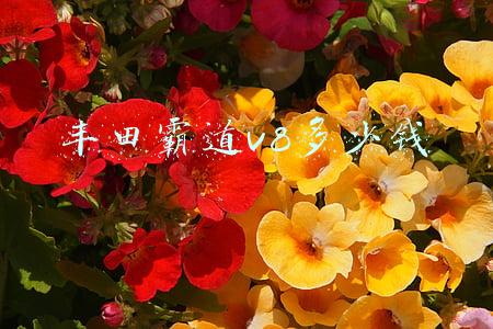 丰田霸道v8价格(代替霸道？2023款雷克萨斯GX曝光，V8引擎+越野四驱，或120万起售)