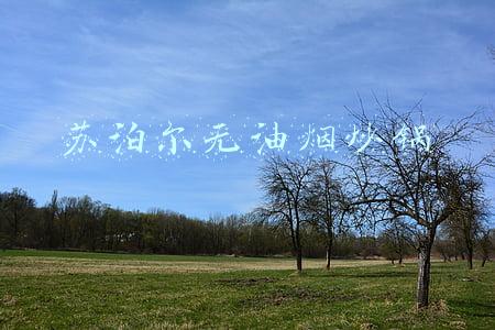 苏泊尔无油烟炒锅