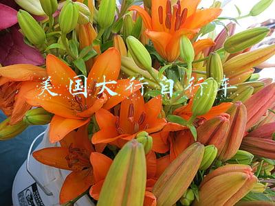 美国大行自行车