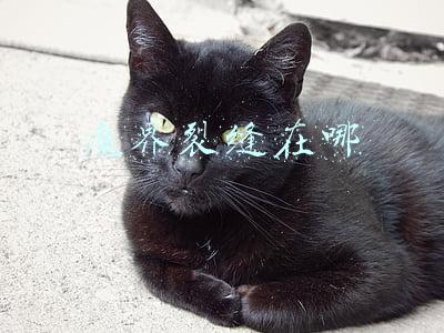 魔界裂缝在哪里(地下城与勇士DNF90版本 魔界裂缝到底如何玩呢？)
