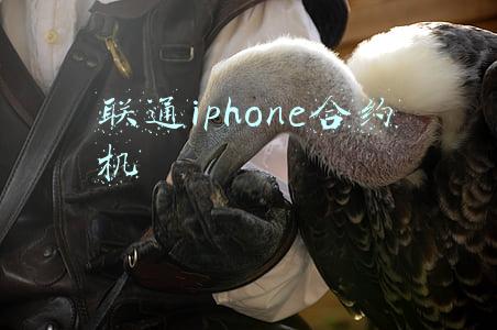 iphone13联通信号差(联通+iPhone13等于没信号 这到底是什么回事？)