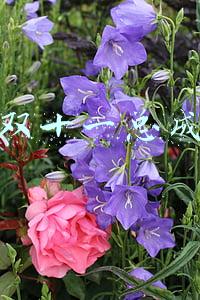 淘宝双十一总成交额 淘宝双十一总成交额