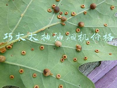 巧太太抽油烟机价格