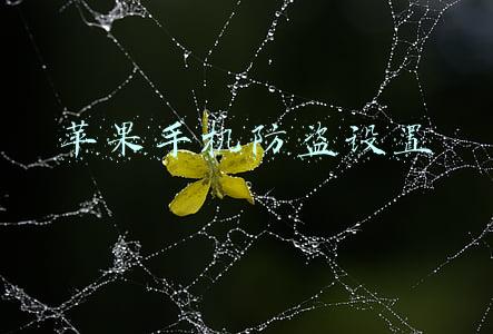 苹果手机防盗追踪(单车防盗新技术？苹果“查找”支持三方设备)