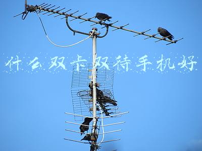 什么双卡双待手机好