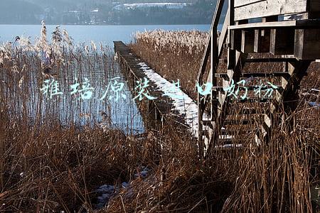 雅培奶粉官网旗舰店(雅培公布客服电话以及国内召回产品范围)
