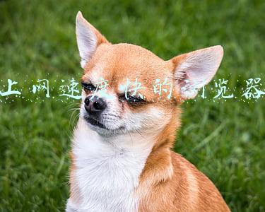 上网速度快的电脑配置(游戏玩到爽！锐龙5 5600X春季爆款装机配置推荐)