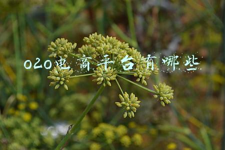 o2o电商平台有哪些