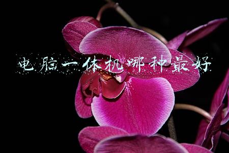 一体机电脑好不好(电脑一体机真的那么火？性能到底怎么样，看完终于明白了)