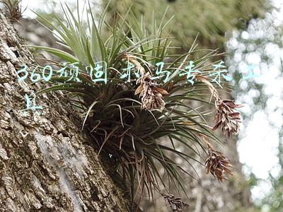 360顽固木马专杀工具官网(借助软件升级入侵，新型木马“刑天”作祟，360安全卫士成功拦截)