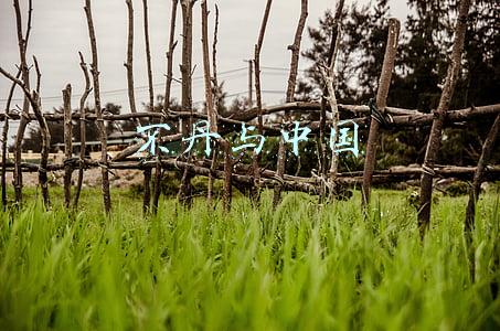 不丹与中国建交了吗(决不能让不丹变成“锡金第二”，中国与它签谅解备忘录)
