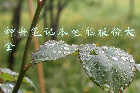 神舟笔记本电脑报价大全