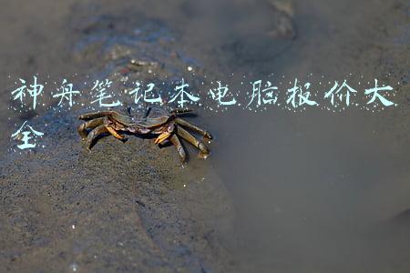 神舟笔记本电脑报价大全