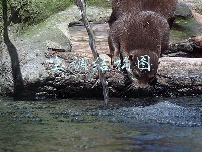 空调结构图