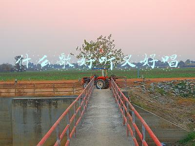 给爱的人唱什么歌好听又好唱(求爱无门时，试试这几首歌，或许会有意外的惊喜)