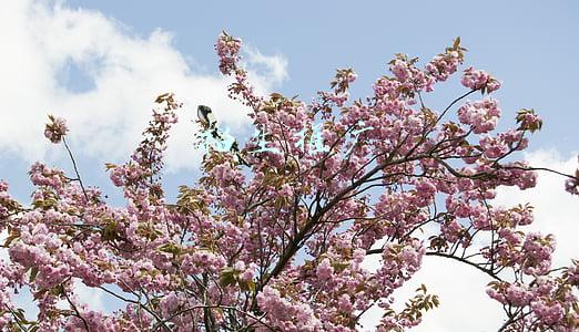 学校招生宣传方案(这样写画室招生宣传创意文案绝对能快速吸引到家长关注你)
