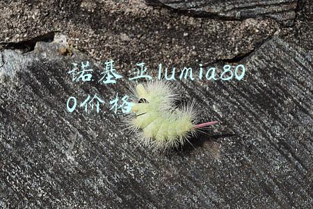 nokia lumia800(我六年前用的Lumia800，还像新的，即使在今天，做工仍然很精致)