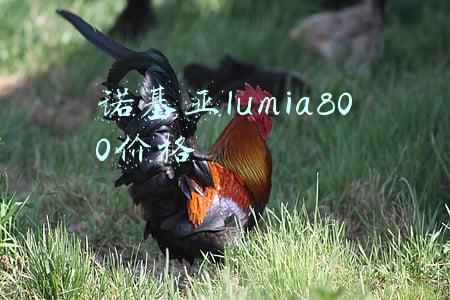 诺基亚8800图片 价格(上市十年诺基亚8800依然高达4000元，苹果三星能做到吗？)