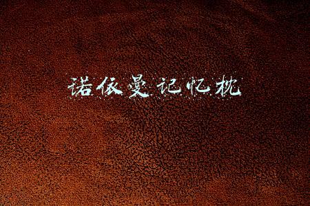 诺依曼记忆枕
