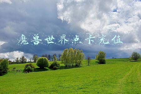 魔兽世界点卡充值方式(魔兽TBC金价连续反转原因分析，GZS卡BUG刷金，玩家备战P2清空AH)
