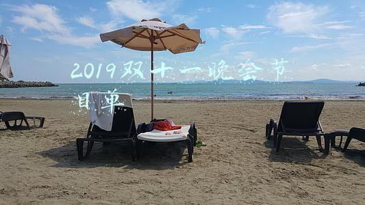2019双十二晚会节目单(闭幕式旗手揭晓！高亭宇成开闭幕式双旗手)