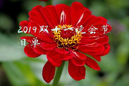 2019双十一晚会节目单