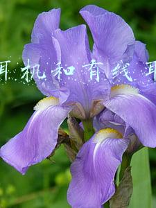 蓝牙耳机和有线耳机哪个好