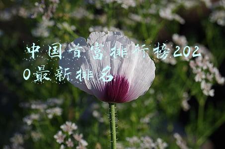 中国首富排行榜2020最新排名