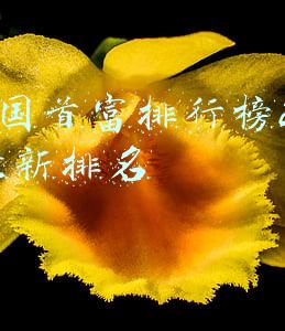 中国首富排行榜2020最新排名胡润(2020胡润百富榜揭晓！千亿企业家数量翻倍，最大黑马是他→)