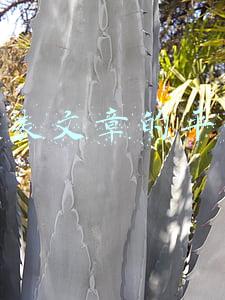 分享文章赚钱哪个平台好(自媒体平台赚钱到底靠不靠谱？盘点一下全网收益最高的四大平台)