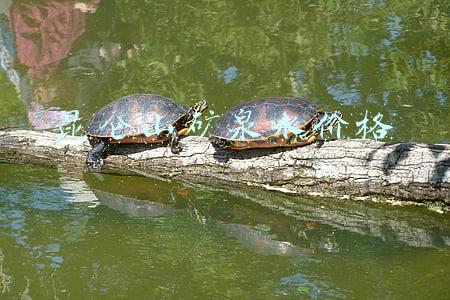 昆仑山矿泉水多少钱一瓶(区区一瓶水，凭什么卖那么死贵？)