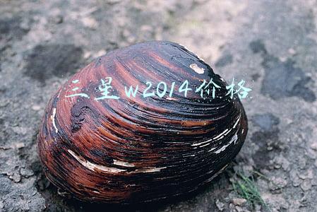三星w2014价格