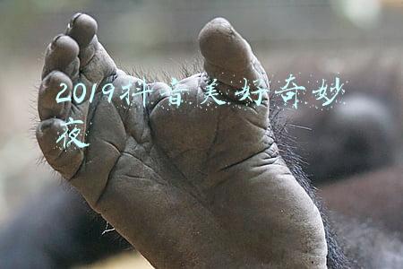 2019抖音美好奇妙夜回看(抖音美好奇妙夜完整版视频地址 回放重播介绍)