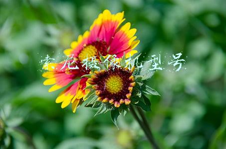 索尼摄像机型号含义(教你认识富士镜头的型号)