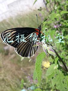 索尼摄像机型号怎么看(认识索尼镜头的型号)