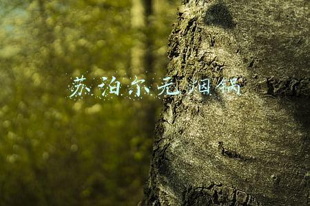 苏泊尔无烟锅涂层掉落还能用吗(电饭锅内胆涂层脱落还能用吗？对人体有毒害吗？有些出乎意料)