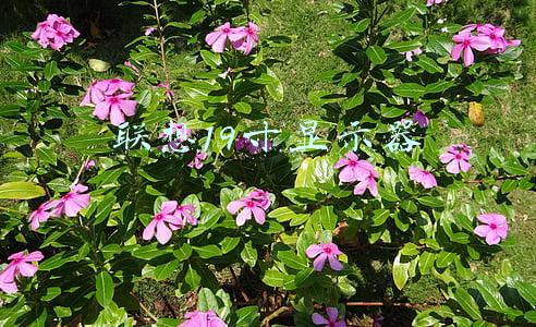 联想19寸显示器