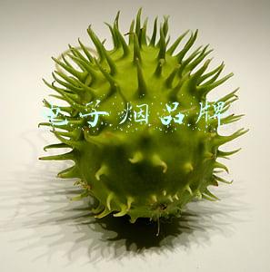 电子烟品牌