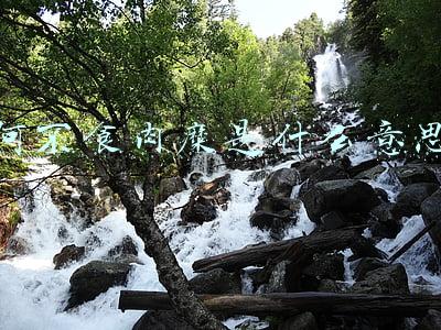 为何不食肉糜(没饭吃为何不食肉糜？没有面包为啥不吃蛋糕？为何不挖地窖御寒？)