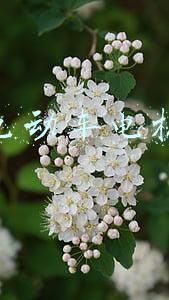 电动车电机