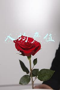 人均产值