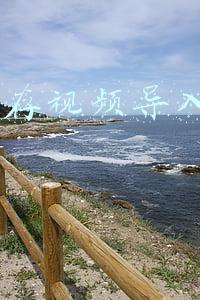 b站缓存视频导入本地相册