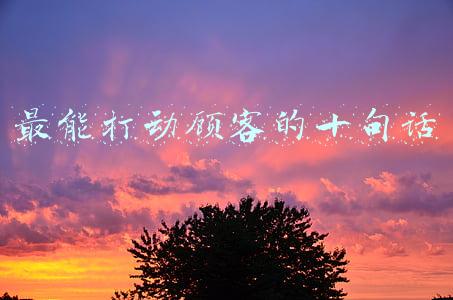 销售最能打动顾客的十句话(销售员开发客户之箴言 第九篇 不卑不亢得人心)