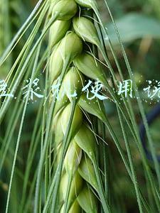 九阳豆浆机使用说明书