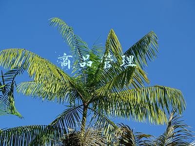 商品管理方面的总结(2021年质量管理年终总结范文)