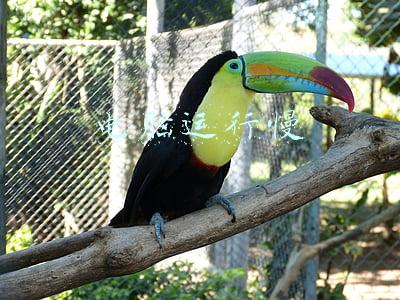 电脑运行慢,换硬盘可以解决问题吗(七八年前的电脑，运行速度缓慢，卡顿，更换两个硬件就能快如闪电)